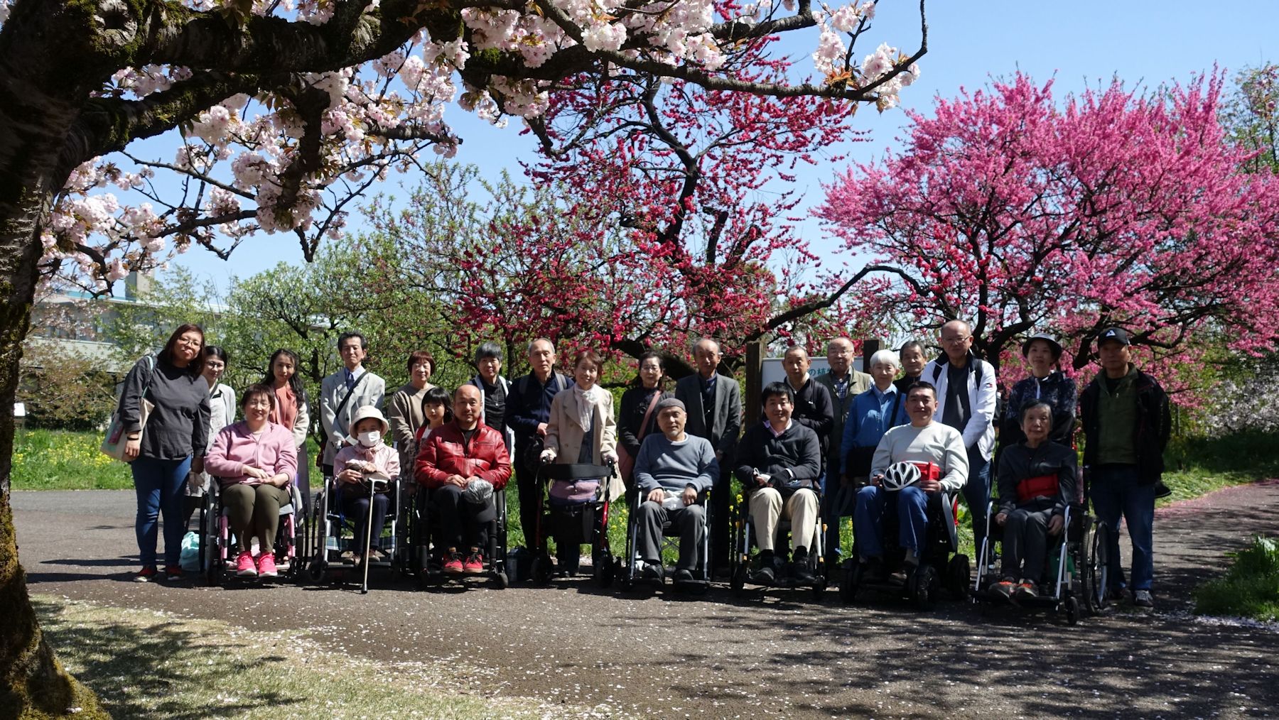昨年4月の交流会（富山県中央植物園で）